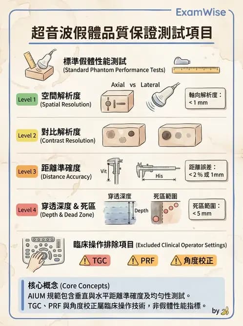 放射 - 超音波成像與都卜勒 - AI 圖文解析預覽