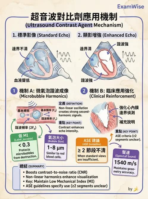 放射 - 超音波成像與都卜勒 - AI 圖文解析預覽