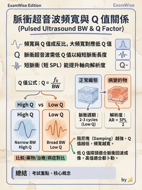 放射 - 超音波物理與換能器 - AI 圖文解析預覽