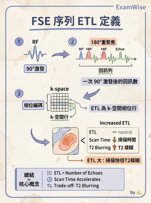 放射 - 脈衝序列與影像對比 - AI 圖文解析預覽