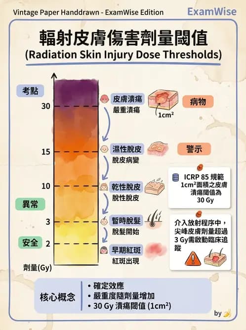 放射 - 全身性輻射效應 - AI 圖文解析預覽