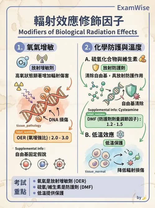 放射 - 輻射物理生物基礎 - AI 圖文解析預覽