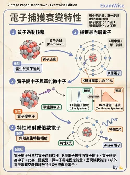 放射 - 放射性蛻變模式 - AI 圖文解析預覽