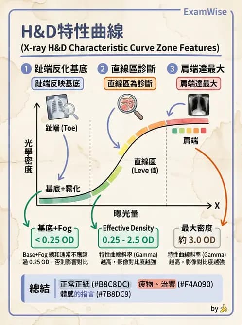 放射 - X光成像系統與影像品質 - AI 圖文解析預覽