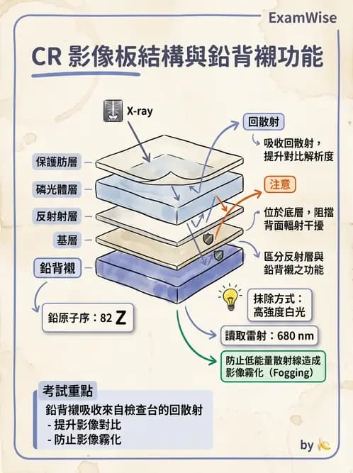 放射 - 電腦放射攝影(CR)原理與應用 - AI 圖文解析預覽