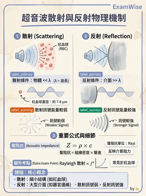 放射 - 超音波物理與系統原理 - AI 圖文解析預覽