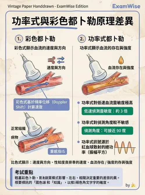 放射 - 都普勒超音波 - AI 圖文解析預覽