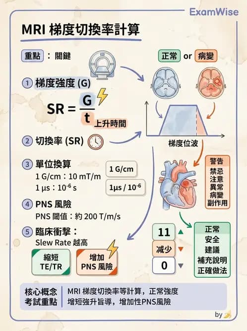 放射 - 梯度線圈與空間編碼 - AI 圖文解析預覽