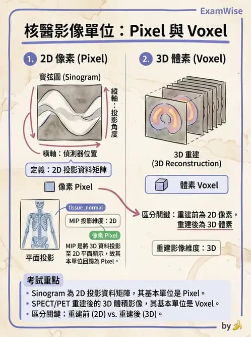 放射 - SPECT影像重建與濾波 - AI 圖文解析預覽
