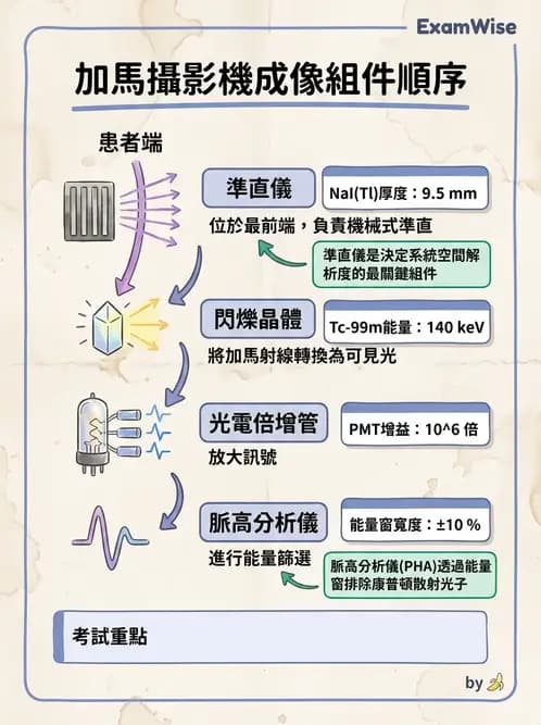 平面影像 - 影像儀器設備 - AI 圖文解析預覽