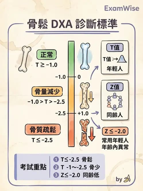 放射 - 軀幹四肢攝影技術 - AI 圖文解析預覽