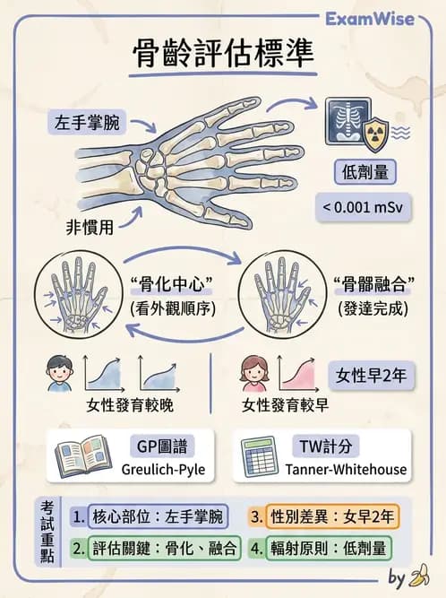 放射 - 軀幹四肢攝影技術 - AI 圖文解析預覽