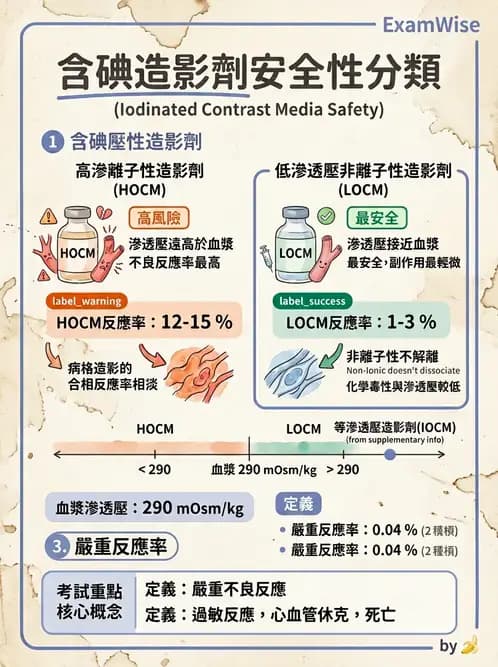 放射 - 泌尿生殖攝影 - AI 圖文解析預覽