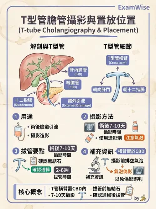 放射 - 消化道造影 - AI 圖文解析預覽