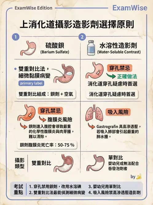 放射 - 消化道造影 - AI 圖文解析預覽