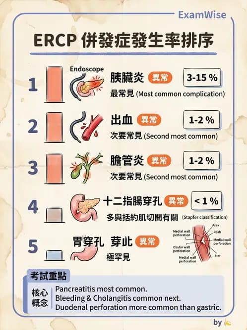 放射 - 消化道造影 - AI 圖文解析預覽