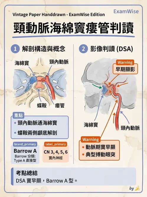 放射 - 血管攝影原理與解剖 - AI 圖文解析預覽