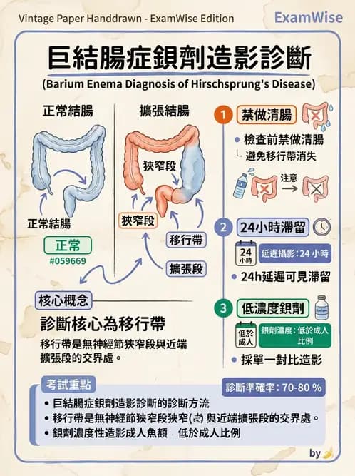 放射 - 消化道造影 - AI 圖文解析預覽