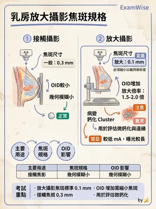 放射 - 乳房攝影與其他特殊檢查 - AI 圖文解析預覽