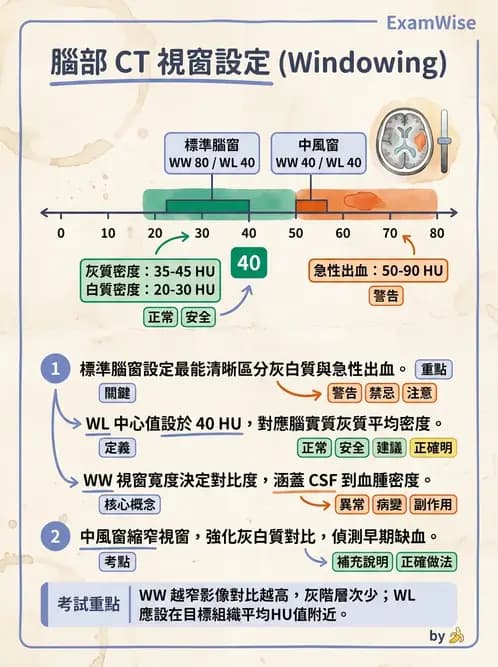 放射 - 頭頸部CT診斷 - AI 圖文解析預覽