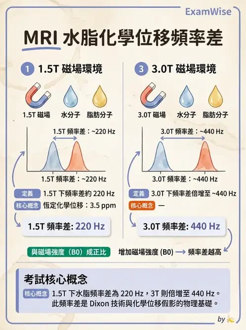 放射 - 磁振造影原理 - AI 圖文解析預覽