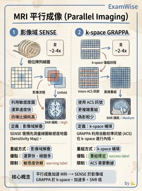 放射 - MRI脈衝序列與訊號技術 - AI 圖文解析預覽