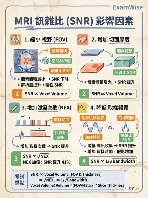放射 - 磁振影像品質與參數 - AI 圖文解析預覽