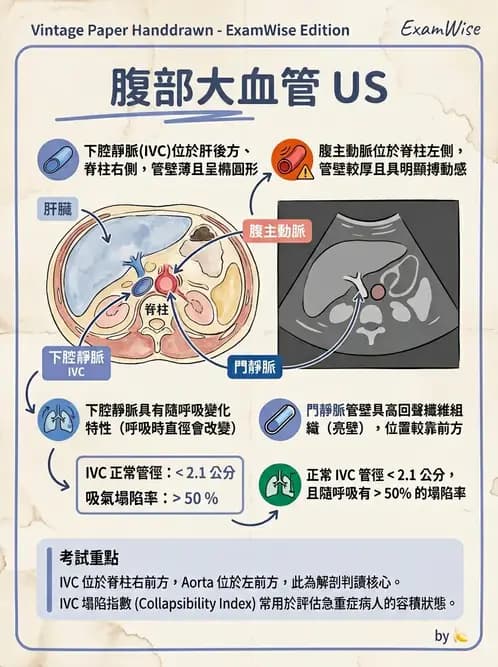 放射 - 腎臟血管與其他超音波 - AI 圖文解析預覽