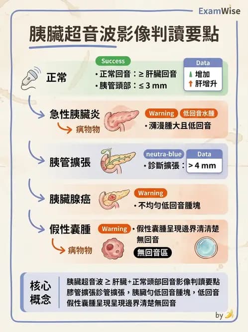放射 - 膽胰脾超音波 - AI 圖文解析預覽