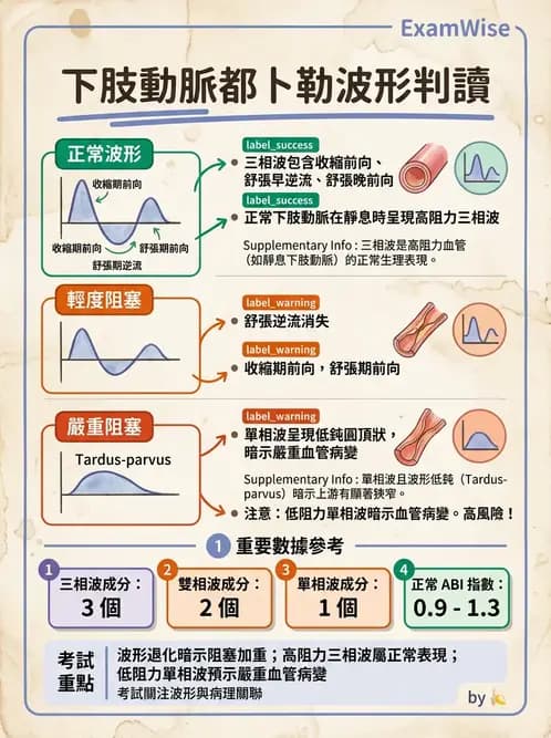 放射 - 腎臟血管與其他超音波 - AI 圖文解析預覽