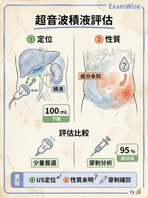 放射 - 腎臟血管與其他超音波 - AI 圖文解析預覽