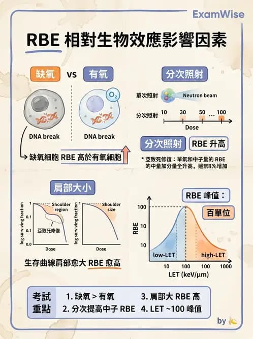 放射 - LET、RBE、OER與復氧效應 - AI 圖文解析預覽
