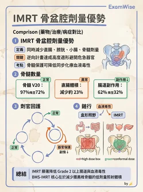 放射 - 強度調控放射治療(IMRT/VMAT/Tomotherapy) - AI 圖文解析預覽