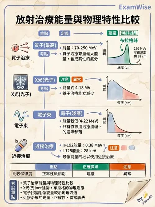 放射 - 質子與粒子治療 - AI 圖文解析預覽
