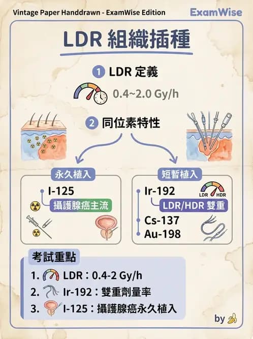 放射 - 插種近接治療 - AI 圖文解析預覽