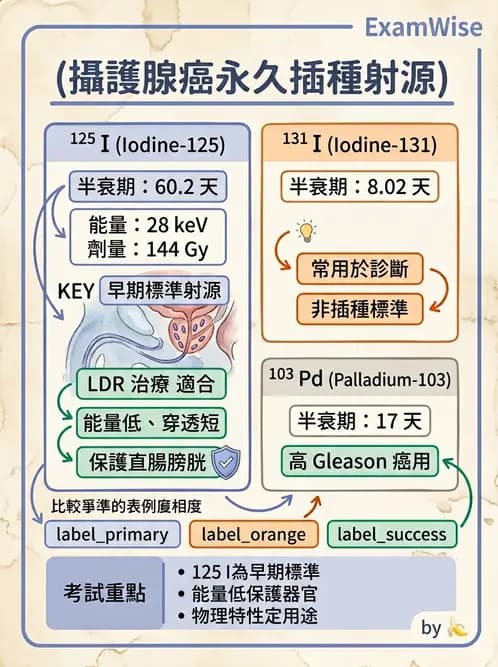放射 - 插種近接治療 - AI 圖文解析預覽