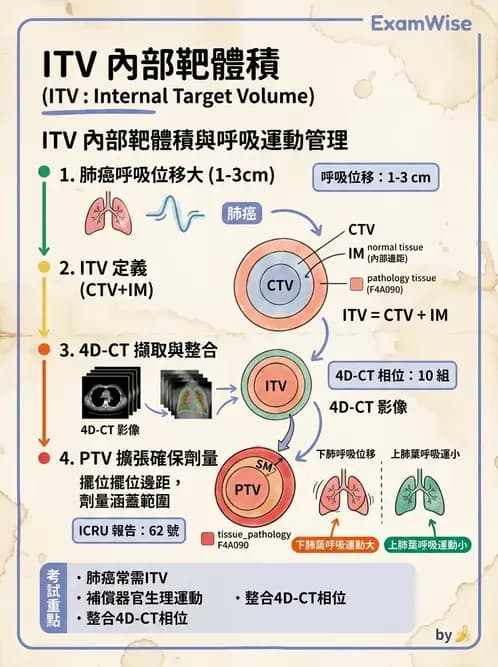 放射 - 多模影像模擬攝影與呼吸運動管理 - AI 圖文解析預覽