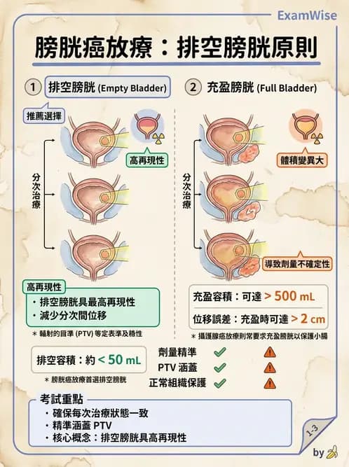 放射 - CT模擬攝影技術、流程與影像特性 - AI 圖文解析預覽
