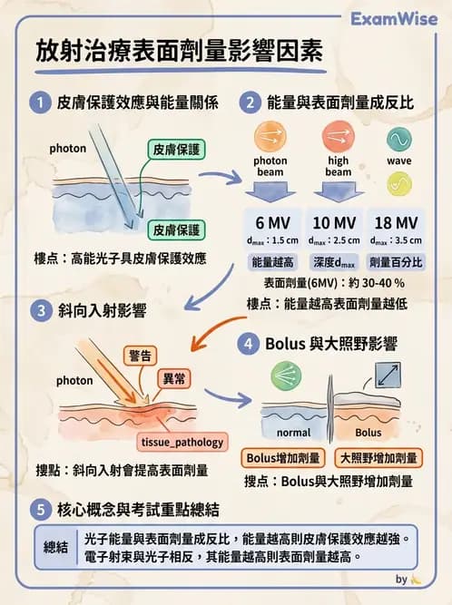 放射 - 劑量增建、散射因子與假體量測 - AI 圖文解析預覽