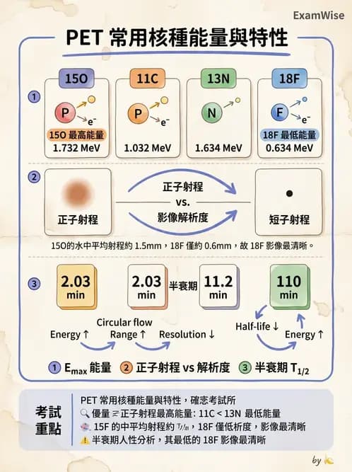 放射 - PET藥物基礎與心臟造影 - AI 圖文解析預覽