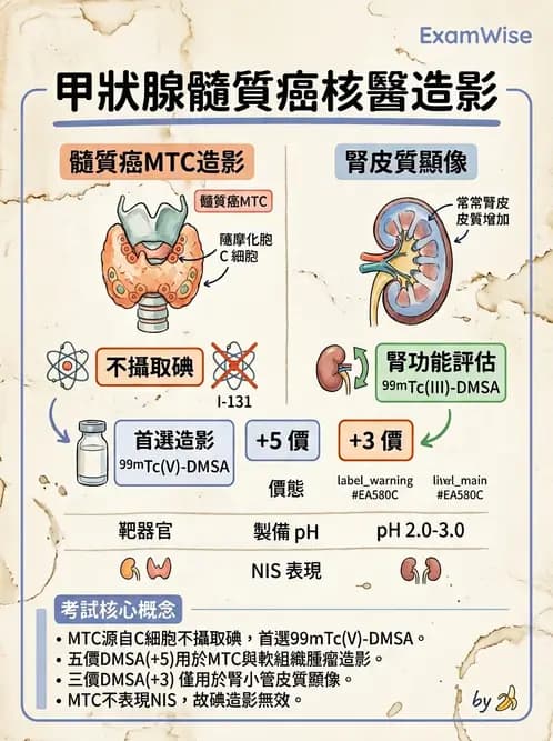 放射 - 腫瘤與內分泌造影SPECT藥物 - AI 圖文解析預覽