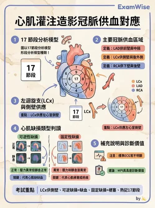 放射 - 心臟灌注造影 - AI 圖文解析預覽