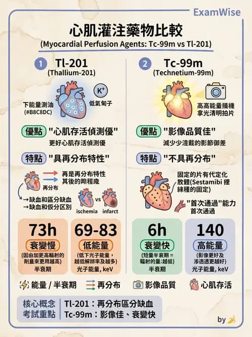 放射 - 心臟灌注造影 - AI 圖文解析預覽