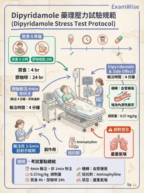 放射 - 心臟灌注造影 - AI 圖文解析預覽