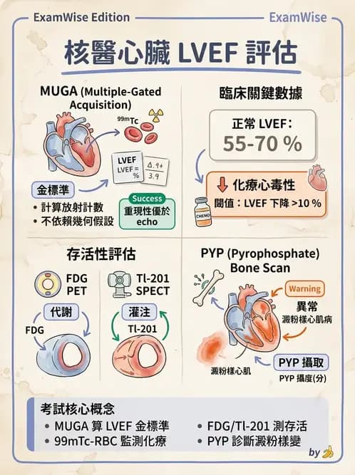 放射 - 心室功能造影 - AI 圖文解析預覽