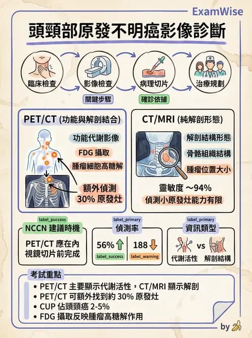 放射 - FDG PET造影 - AI 圖文解析預覽
