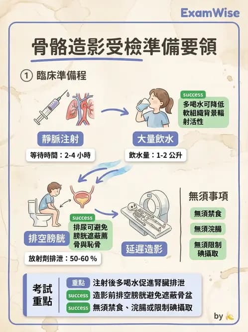 放射 - 骨骼造影 - AI 圖文解析預覽
