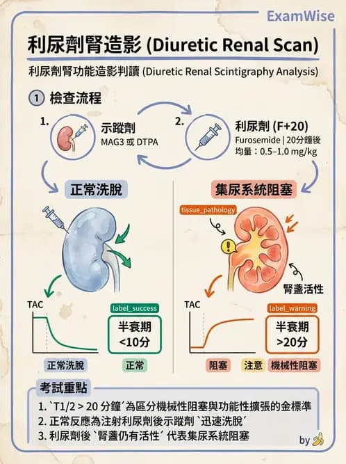 放射 - 腎臟造影 - AI 圖文解析預覽