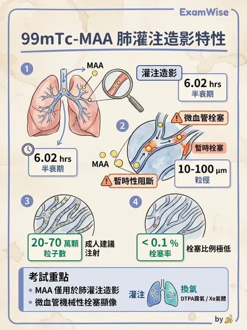 放射 - 肺部與感染造影 - AI 圖文解析預覽