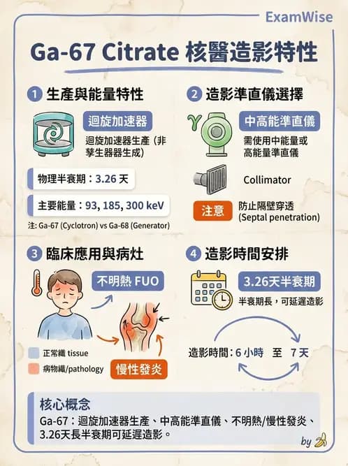 放射 - 肺部與感染造影 - AI 圖文解析預覽